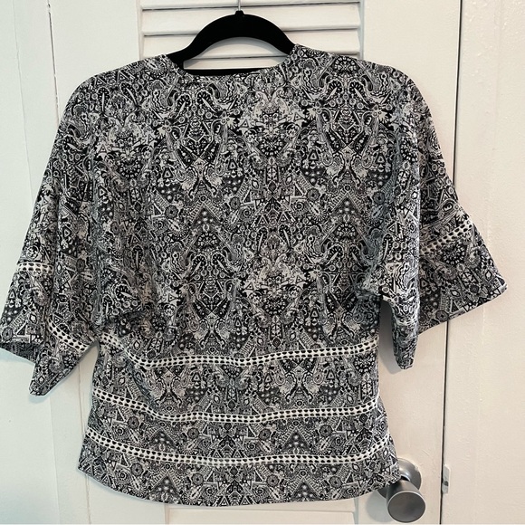 IRO Printed V-Neck Blouse - Picture 5 of 10